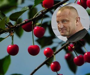 Nie tylko Pudzianowski ma problem! Sadownicy ze świętokrzyskiego także ponoszą straty