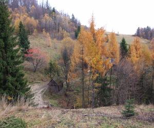 Liczne szlaki turystyczne i stoki narciarskie. Oto małopolskie pasmo górskie idealne na rodzinną wycieczkę 