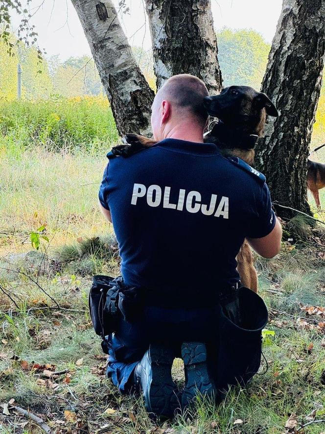 Trawka - nowy pies suwalskiej Policji