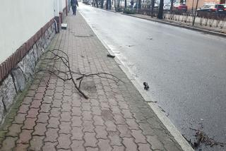 Wichura znów narobiła szkód w Lesznie i powiecie