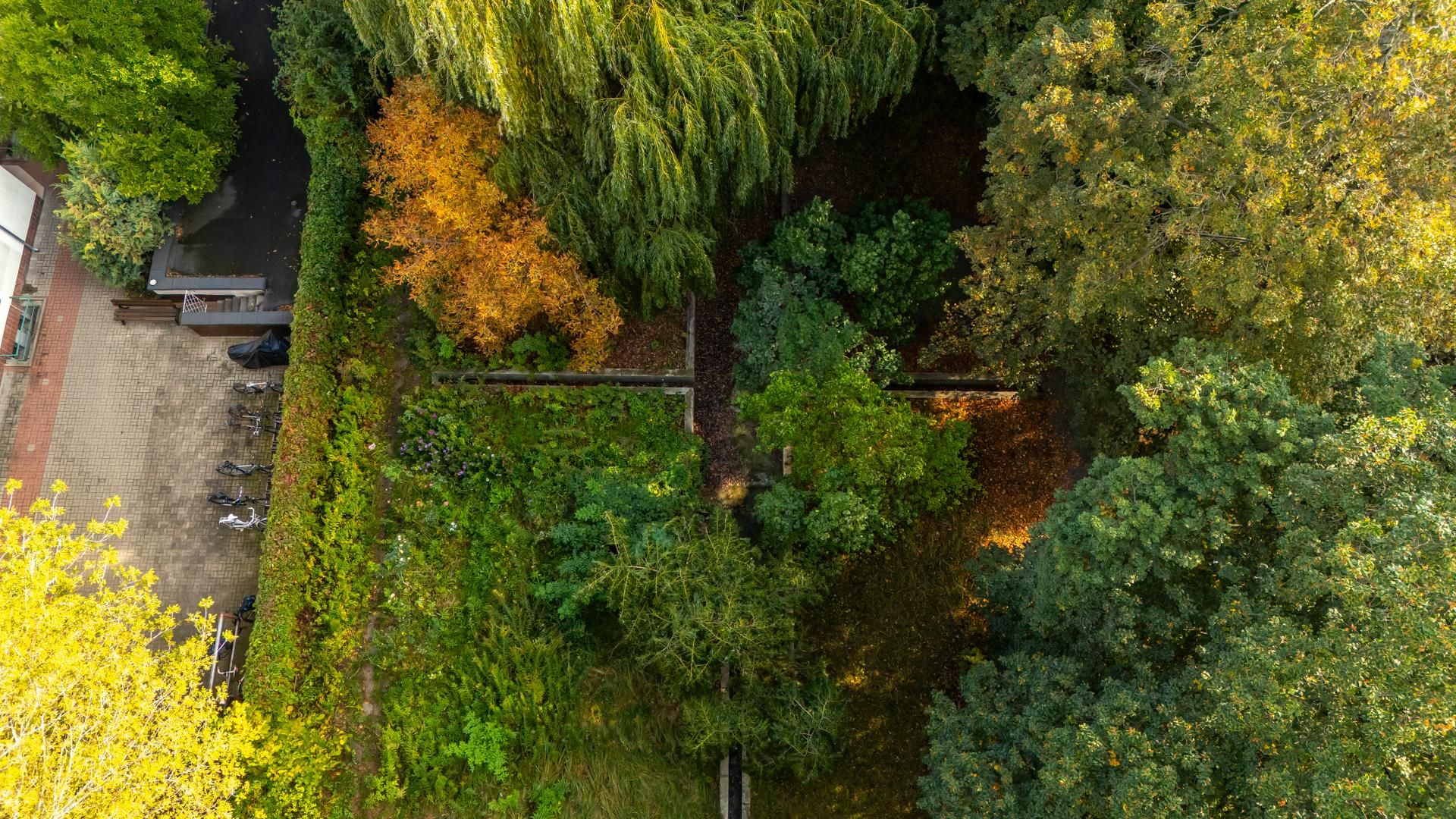 Kamienice Jerzego Wierzbickiego w Warszawie przy Al. Niepodległości