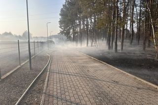 Spadła linia wysokiego napięcia. Ogień podchodził pod domy, ludzie ruszyli do gaszenia jeszcze przed strażakami
