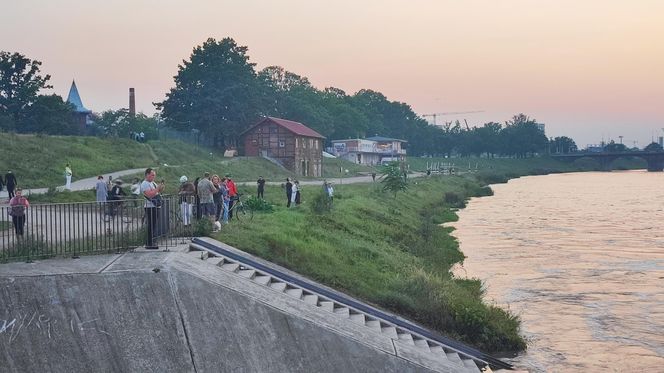 Mieszkańcy Wrocławia z zaniepokojeniem obserwują rzekę Odrę przepływającą pomiędzy osiedlami Kleczków i Różanka