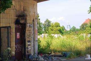 Grzybek Baltony w Szczecinie