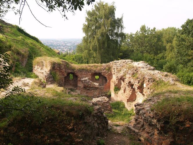 Szlak turystyczny z Tarnowa do Tuchowa