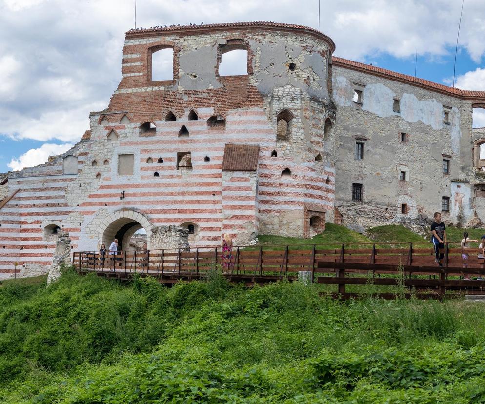 Zamek w Janowcu 