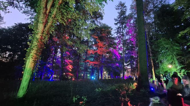 Olsztyn zamienił się w magiczną krainę. Park Świateł przyciągnął tłumy!