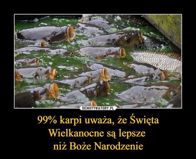 Najlepsze memy o świętach. Te obrazki rozbawią Cię do łez! Tak wygląda Boże Narodzenie oczami internautów [TOP 75]