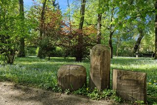 Wiosna w Ogrodzie Botanicznym UKW, czyli spacer wśród zieleni