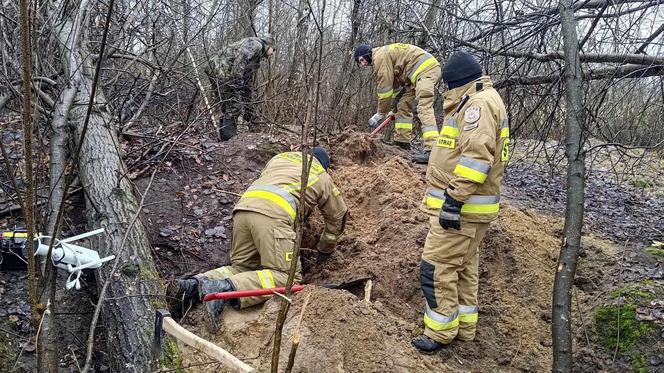 Lubelskie. Szczeniaki uwięzione w lisiej noże. Strażacy kopali w zmarzniętej ziemi przez 3 godziny