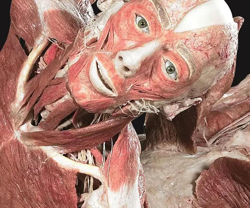 Body Worlds