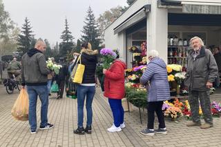 Wszystkich Świętych 2022 Poznań 