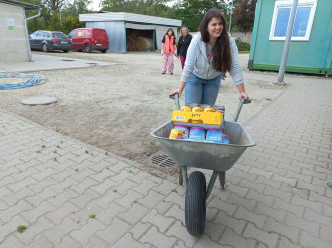 „Wszystkie psiaki nasze są” w schronisku w Henrykowie koło Leszna