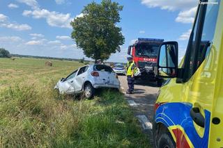 Tragedia na Śląsku. Kierowca zjechał z drogi i uderzył w drzewo. 36-latek nie żyje