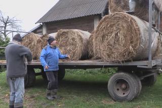 Rolnicy. Podlasie. W Plutyczach jak w cyrku. Ale jaja!. Chłopaki z Moniek skradli show