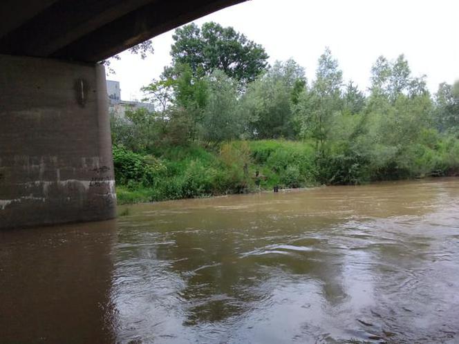 Sytuacja hydrologiczna w Tarnowie. Czy grozi nam powódź?