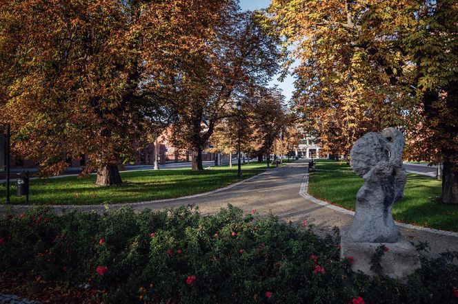 Plac Kościeleckich w Bydgoszczy po przebudowie