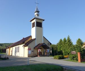 Kleszcze afrykańskie w Polsce