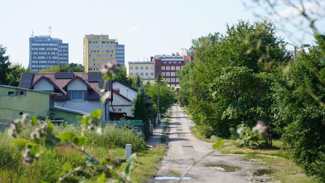 Bystrzyca oddziela dwie dzielnice: Rury i Za Cukrownią. Jak prezentuje się ta część Lublina w letniej odsłonie? ZOBACZ ZDJĘCIA