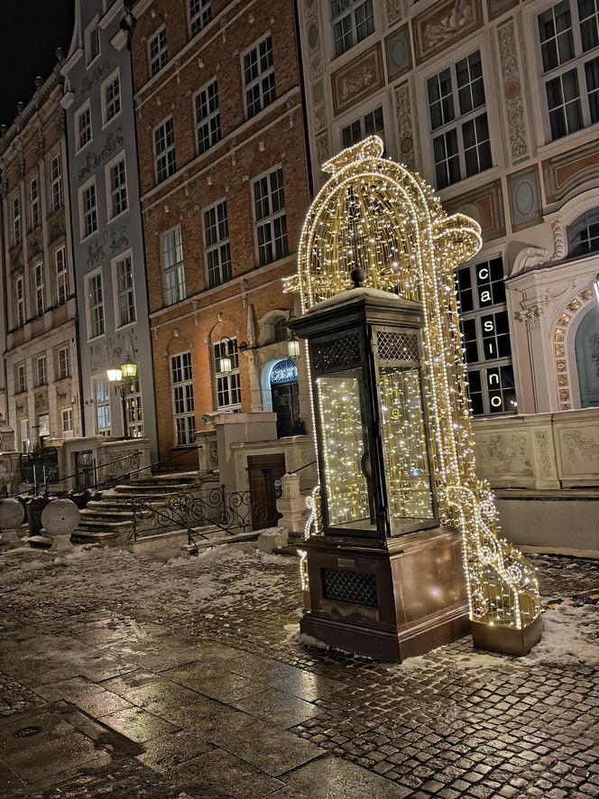 Gdańska choinka rozbłysła. Zobaczcie nasze zdjęcia!