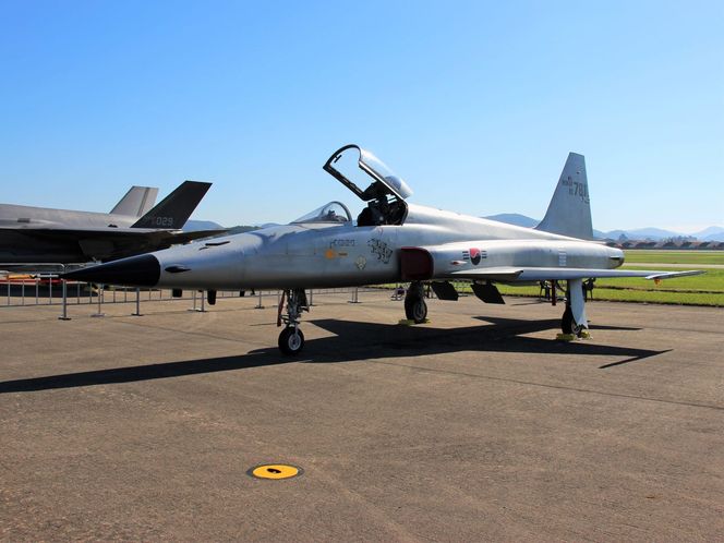 F-5E Tiger.  Sacheon Air Show 2024