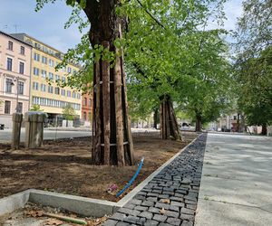 Tak teraz wygląda plac Wolności w Bydgoszczy. Powrót kwiaciarek ponownie opóźniony