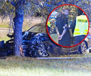 Kierowca Mercedesa pod wpływem wjechał w filar wiaduktu, odbił się i huknął w drzewo