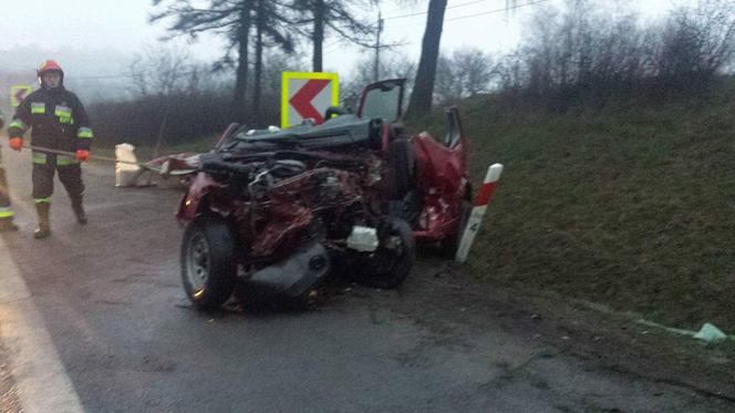 Śmiertelny wypadek na DK94 w Wielkiej Wsi [ZDJĘCIA]