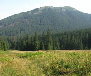 Wielki Kopieniec