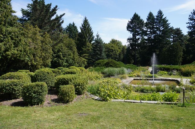 Ogród Botaniczny w Poznaniu 