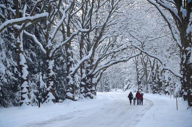 Atak zimy. Kiedy można się spodziewać opadów śniegu w Koszalinie?