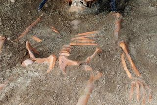 W Pniu pod Bydgsozczą znaleziono nietypowy grób niemowlęcia z XVII w. Ktoś włoźył tam ozdobę w kształcie kwiatka