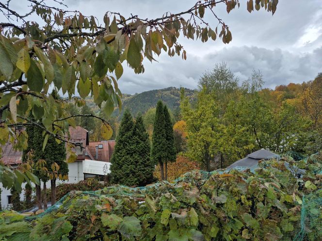 To jedno z najstarszych polskich uzdrowisk najpiękniej wygląda jesienią. Kurowali się w nim Sienkiewicz, Prus, Matejko i Konopnicka
