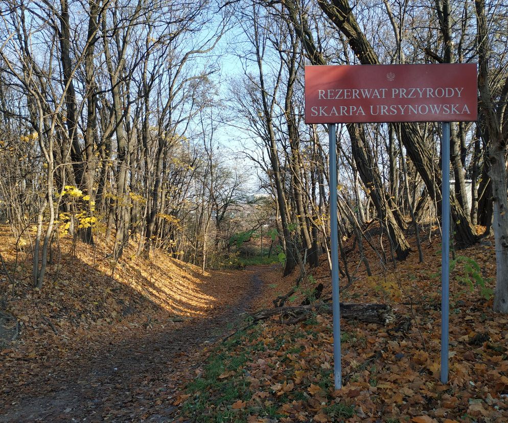Rezerwat Skarpa Ursynowska