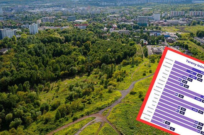 Katowice w czołówce najbardziej zielonych miast Polski. Nowy ranking zaskakuje