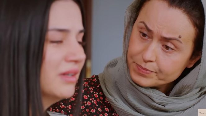 Miłość i nadzieja odc. 269. Bahar, Cavidan