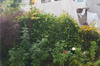 Podlasie: Wybuch butli z gazem. Zawalił się dom, nie żyje mężczyzna