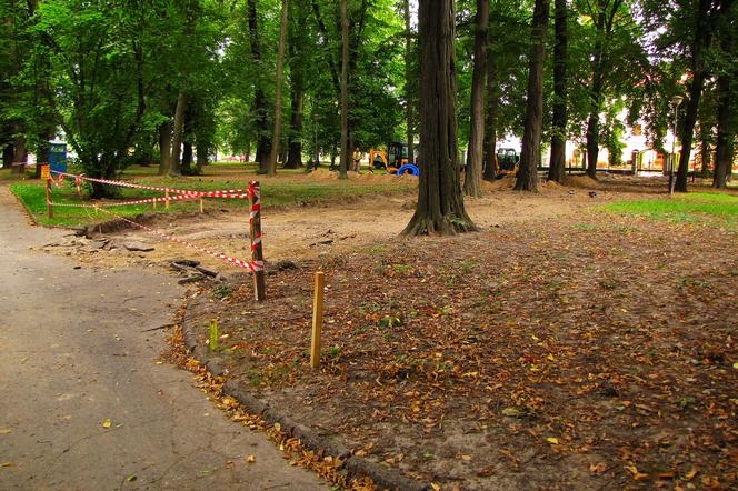 Rewitalizacja parku przy ul. Dąbrowskiego w Rzeszowie