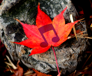 10 jesiennych piosenek, które warto znać. Na słońce i niepogodę 