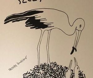 Ekspozycja „Mówię do Ciebie” – plakaty Danuty Żukowskiej w Bibliotece Pedagogicznej w Siedlcach