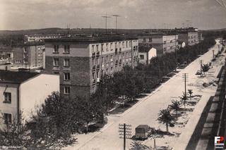 Powiat kraśnicki uwieczniony na archiwalnych fotografiach