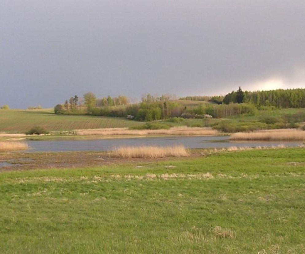 Rezerwaty na Warmii i Mazurach zostaną powiększone. Zmiany od 15 listopada