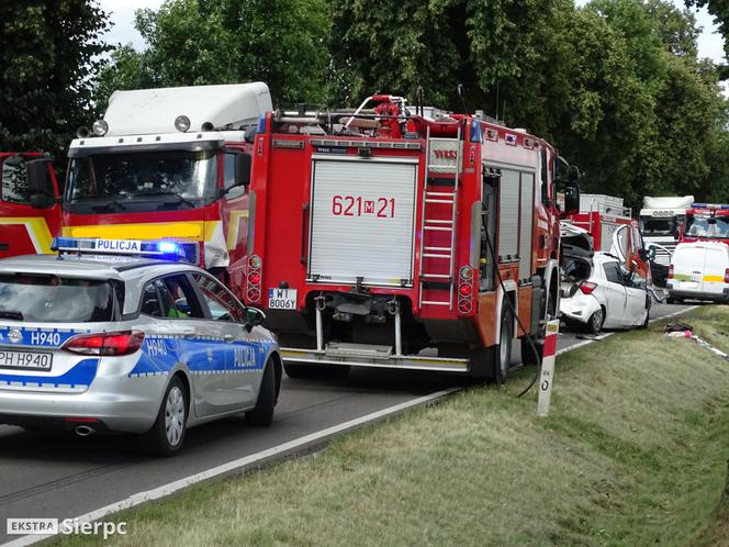 Płock. Zepchnął małżeństwo prosto pod tira. On nie żyje, ona potrzebuje krwi! [ZDJĘCIA]