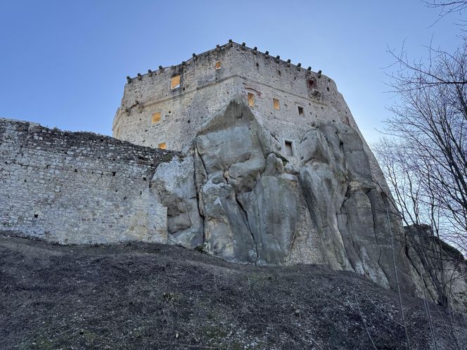 Zamek Kamieniec w Odrzykoniu 