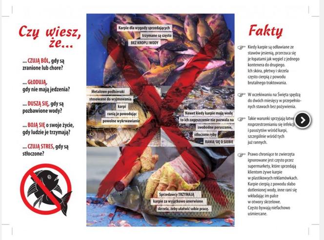 Bełchatów: Obrońcy zwierząt z akcją w markecie! 