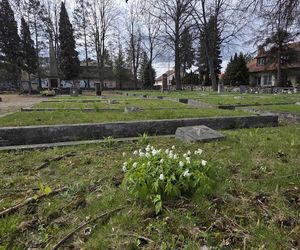  Cmentarz Armii Radzieckiej