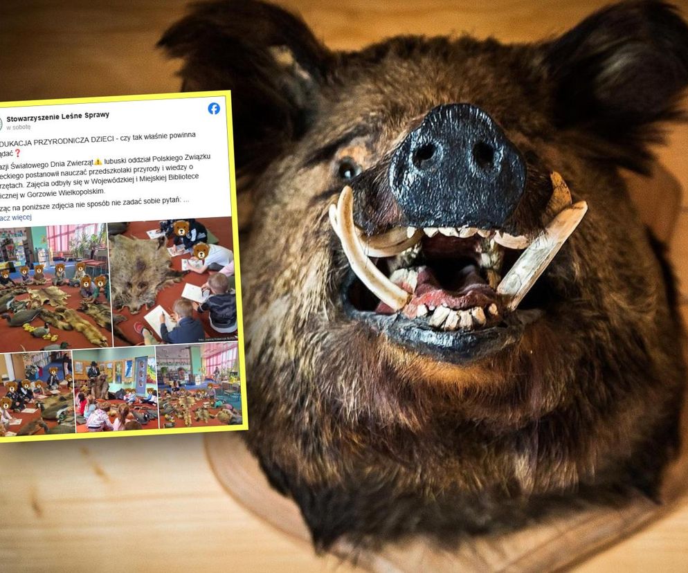 Dzieciom pokazywano skóry martwych zwierząt