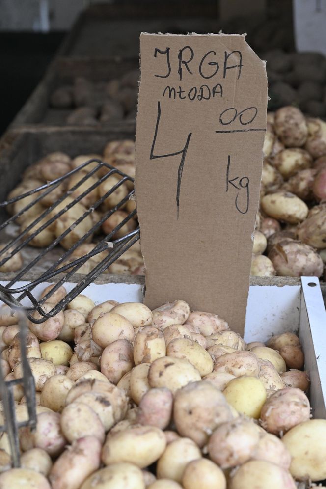  Ceny nowalijek na warszawskich bazarach szokują. Byliśmy i sprawdziliśmy ile trzeba zapłacić