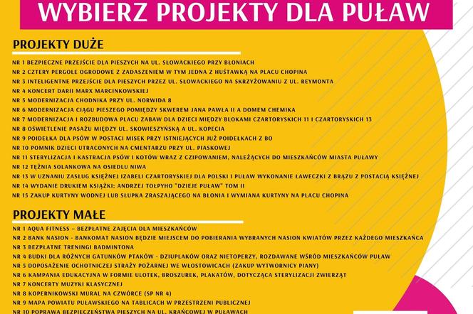 X edycja Budżetu Obywatelskiego w Puławach - plakat