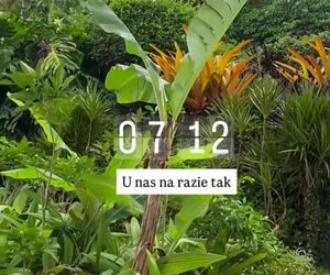 Żebrowscy nadają z Jamajki. Zabrali głos po uderzeniu huraganu